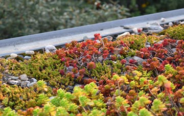 the cost of Hoffleet Stow green roof installation