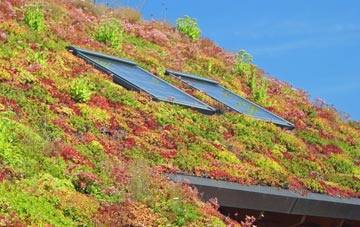 Hoffleet Stow living roof systems